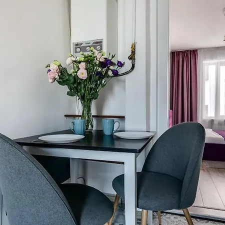 Apartment Near The Opera House Lviv